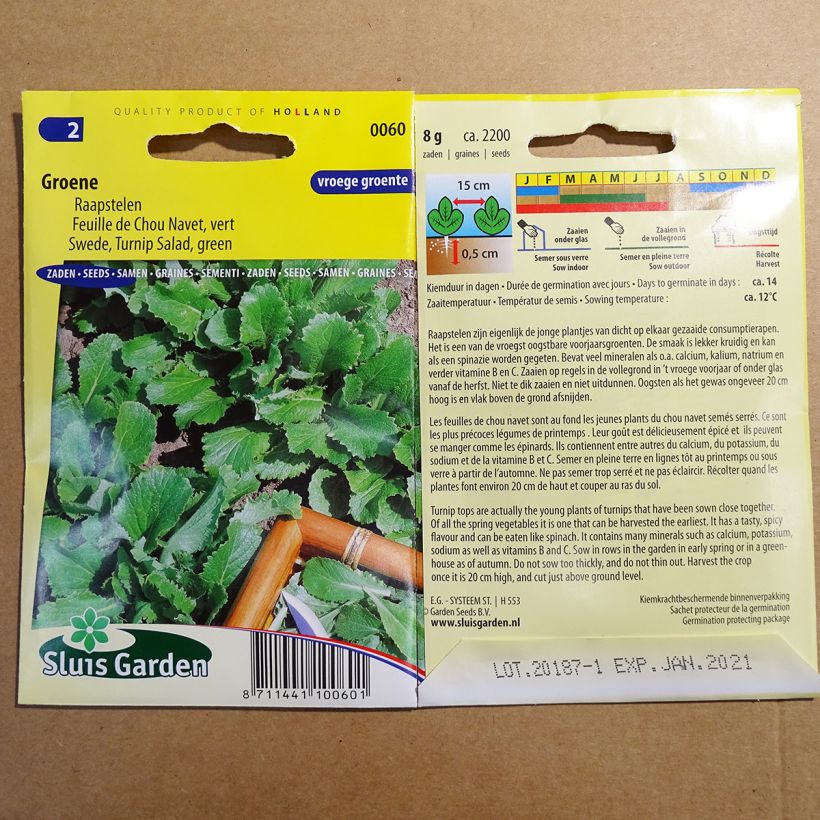 Esimerkki toimitetusta Nauris - Brassica rapa 2200 siemenen pussi (8g)-taimesta