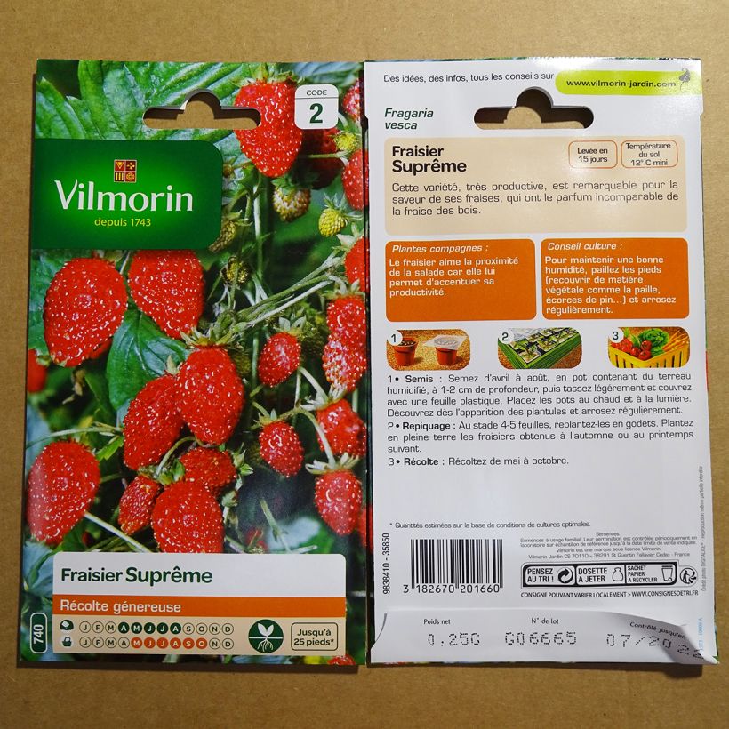 Esimerkki toimitetusta Kuukausimansikka Suprême - Vilmorin 0.25 gramman siemenpussi-taimesta