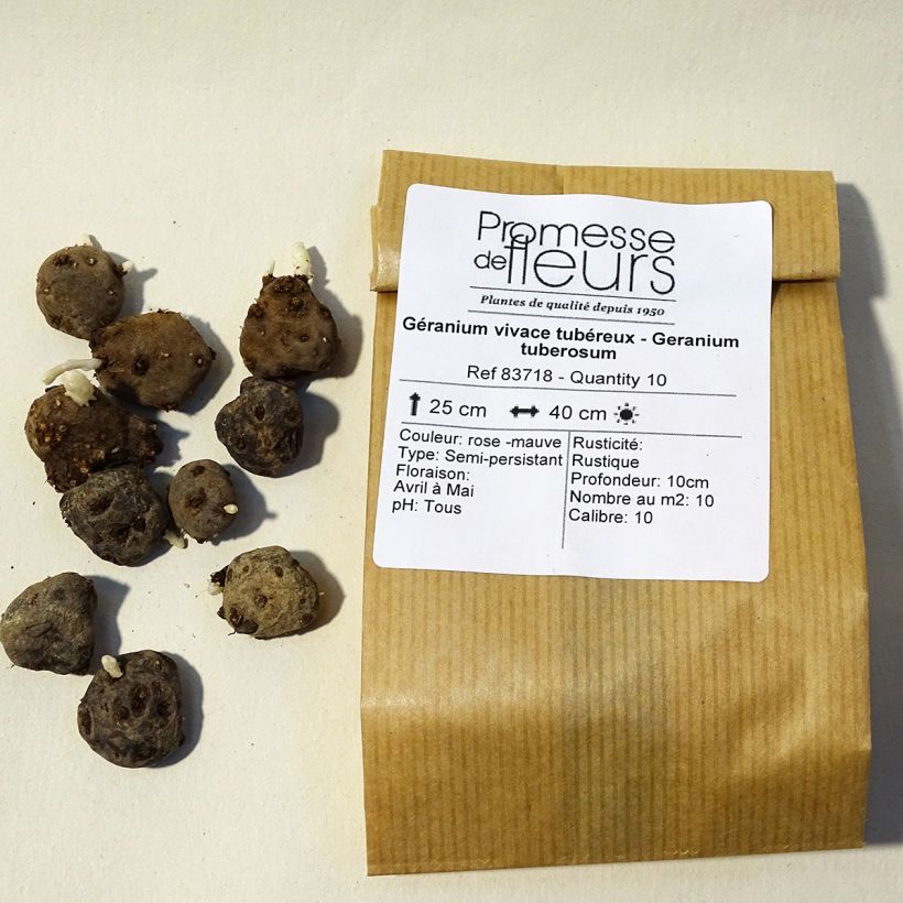 Esimerkki toimitetusta Mukulakurjenpolvi - Geranium tuberosum Bulbe size 5+-taimesta