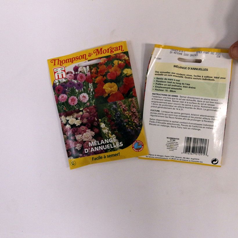 Esimerkki toimitetusta Graines Mélange d'annuelles - Easy Annuals Fairy Mixed 2 gramman siemenpussi-taimesta