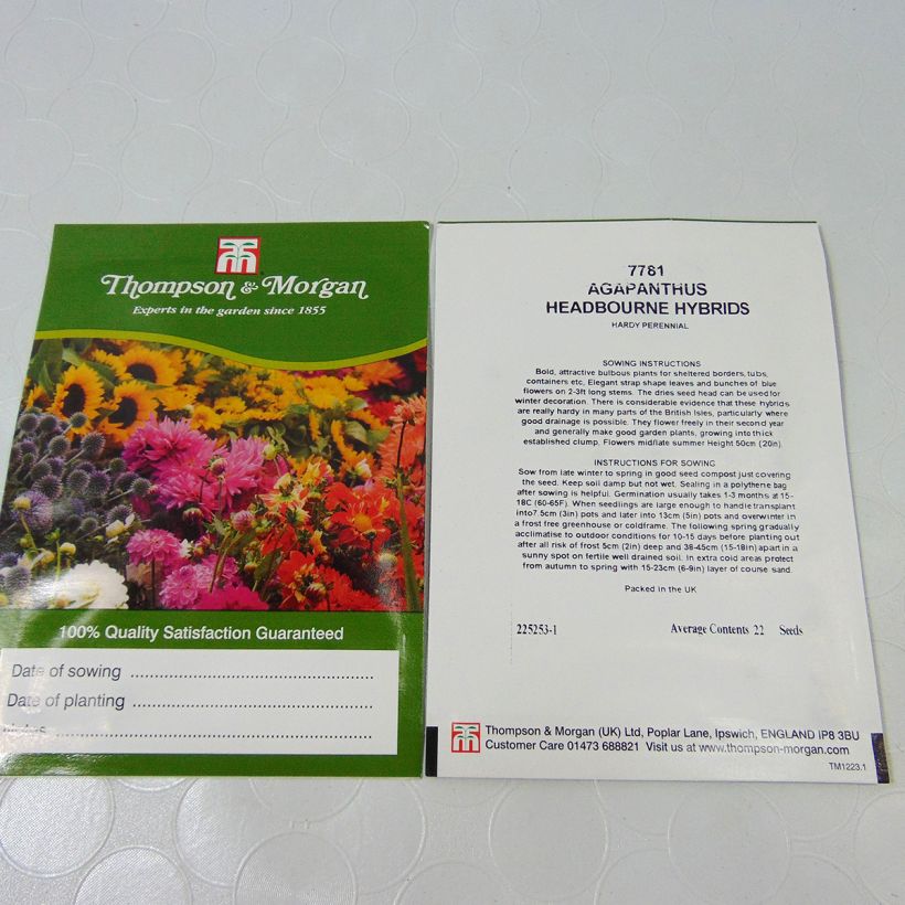 Esimerkki toimitetusta Sinisarja Headbourne (siemenet) per pack of 22 seeds-taimesta