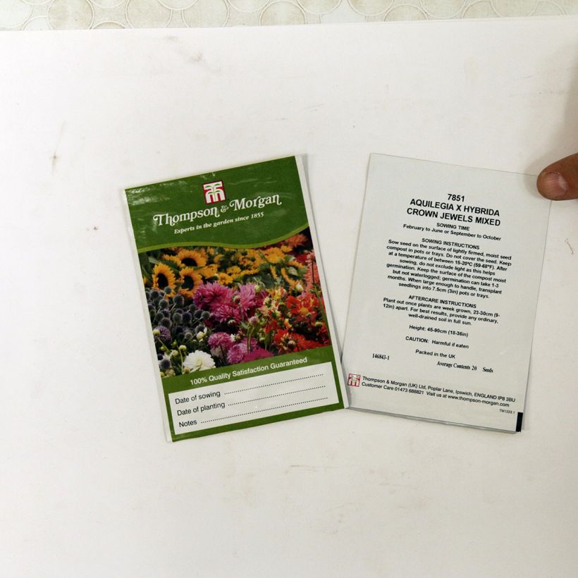 Esimerkki toimitetusta Lehtoakileija Crown Jewels Mixed (siemenet) per pack of 20 seeds-taimesta