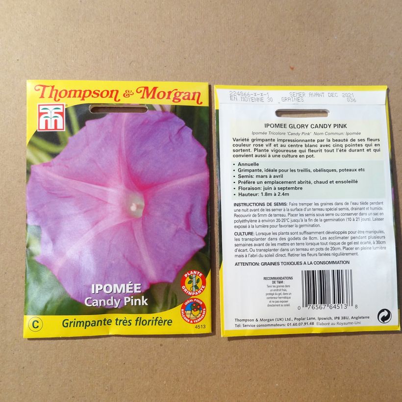 Esimerkki toimitetusta Aitoelämänlanka Candy Pink (siemenet) per 1.5 g seed pack-taimesta