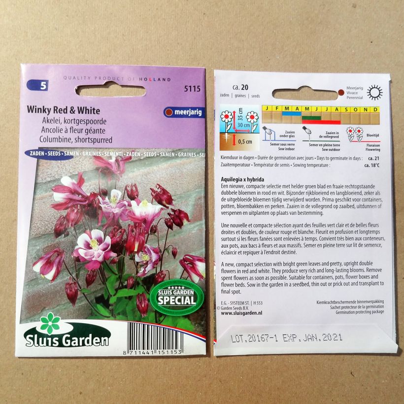 Esimerkki toimitetusta Lehtoakileija Winky Red & White (siemenet) per pack of 20 seeds-taimesta