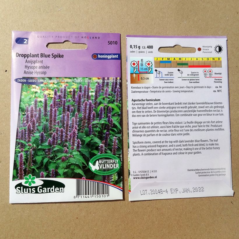 Esimerkki toimitetusta Yrtti-iiso Blue Spike (siemenet) per 0.15 g seed pack-taimesta