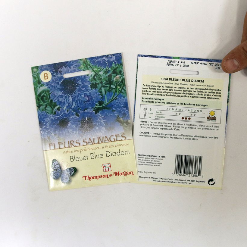 Esimerkki toimitetusta Ruiskaunokki Blue Diadem (siemenet) per pack of 200 seeds-taimesta