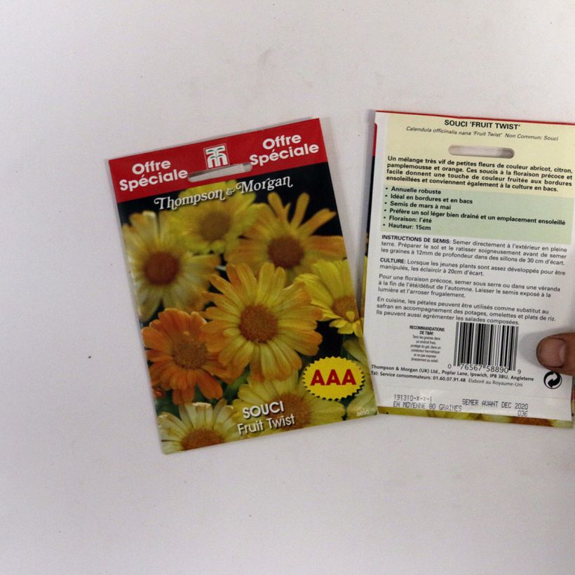 Esimerkki toimitetusta Kehäkukka Nana Fruit Twist (siemenet) per pack of 80 seeds-taimesta