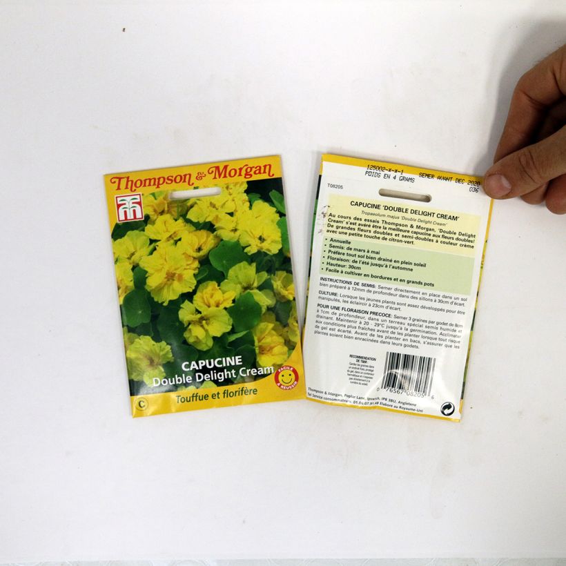 Esimerkki toimitetusta Isoköynnöskrassi Double Delight Cream (siemenet) per pack of 3 seeds-taimesta
