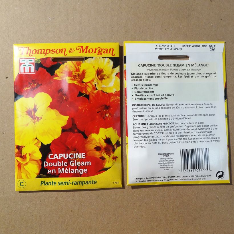 Esimerkki toimitetusta Isoköynnöskrassi Double Gleam (siemenet) per pack of 30 seeds-taimesta