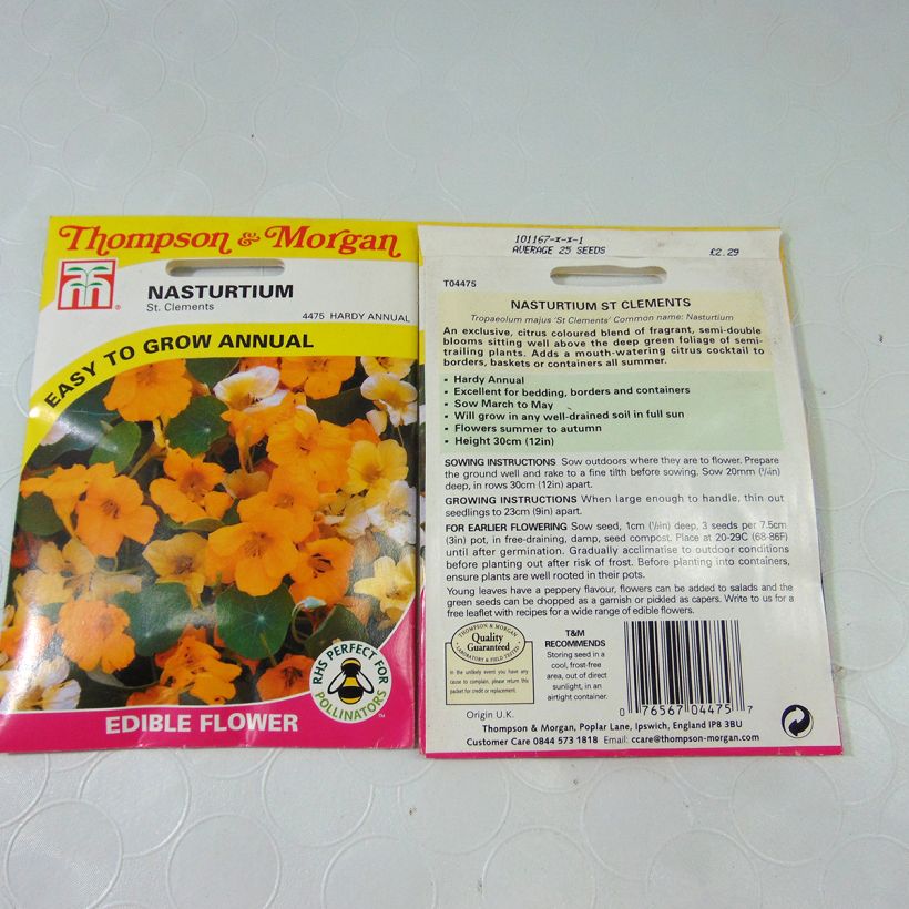 Esimerkki toimitetusta Isoköynnöskrassi St Clements (siemenet) per pack of 25 seeds-taimesta