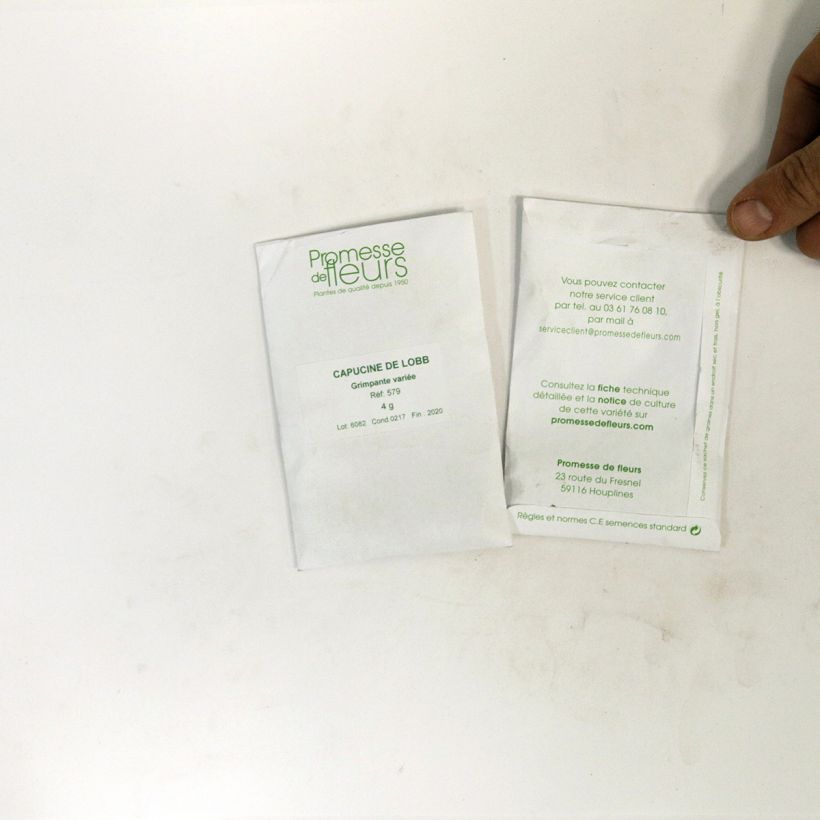 Esimerkki toimitetusta Isoköynnöskrassi Gleam (siemenet) per pack of 35 seeds (5g)-taimesta