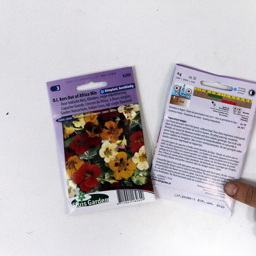 Esimerkki toimitetusta Isoköynnöskrassi Out Of Africa (siemenet) per pack of 32 seeds-taimesta