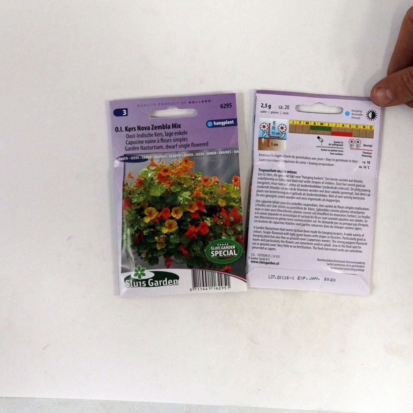 Esimerkki toimitetusta Köynnöskrassi Nova Zembla (siemenet) per pack of 20 seeds-taimesta