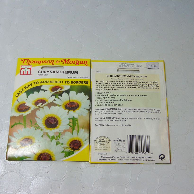 Esimerkki toimitetusta Krysanteemi Polar Star (siemenet) per pack of 300 seeds (1g)-taimesta