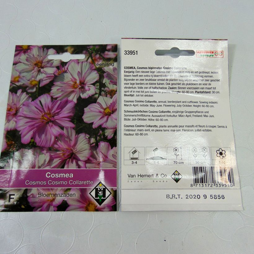 Esimerkki toimitetusta Kosmoskukka Cosimo Collarette (siemenet) per pack of 60 seeds (0.5g)-taimesta