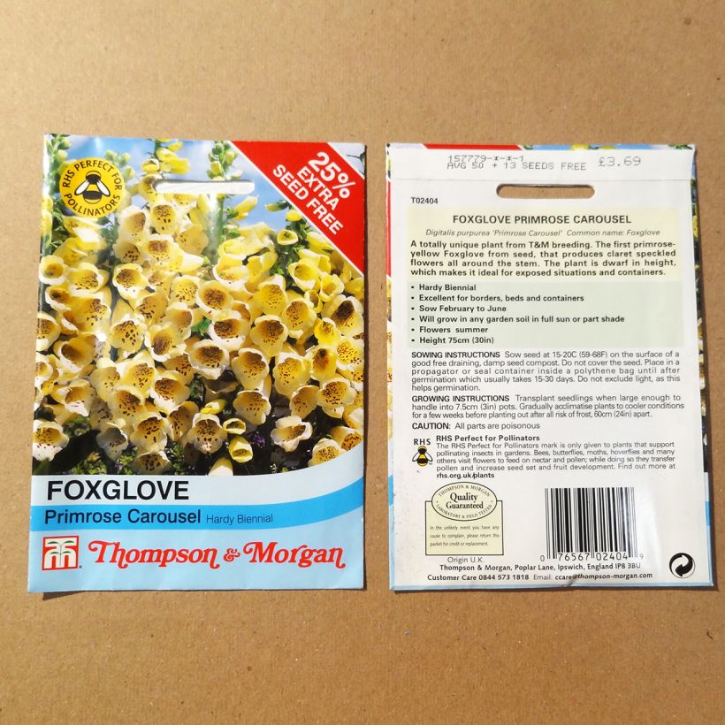 Esimerkki toimitetusta Rohtosormustinkukka Primrose Carousel (siemenet) per pack of 50 seeds-taimesta