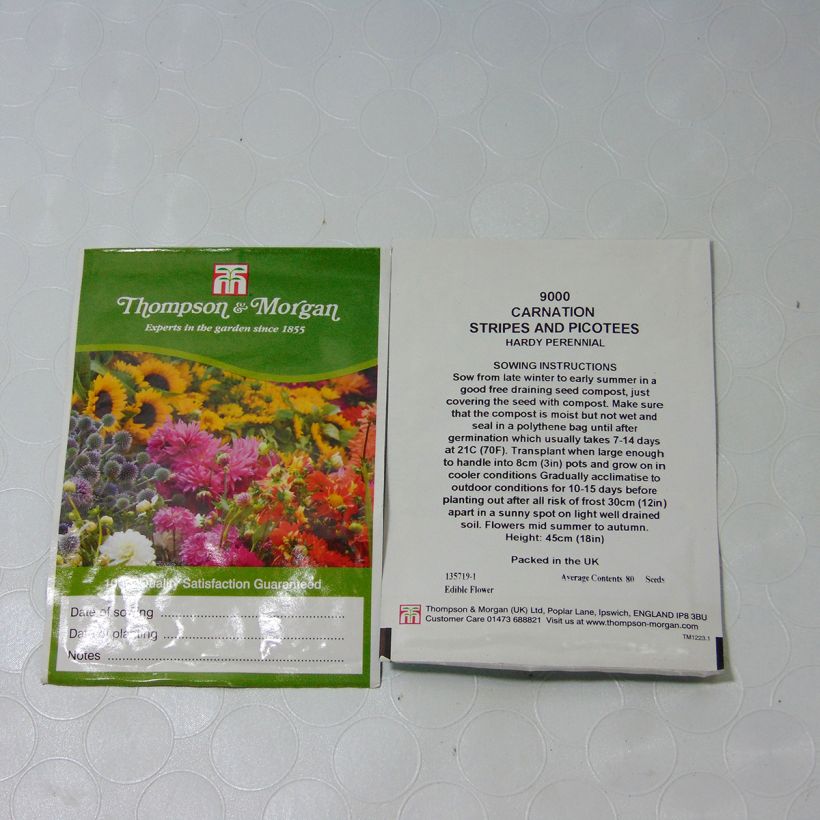 Esimerkki toimitetusta Tarhaneilikka Stripes & Picotees (siemenet) per pack of 80 seeds-taimesta