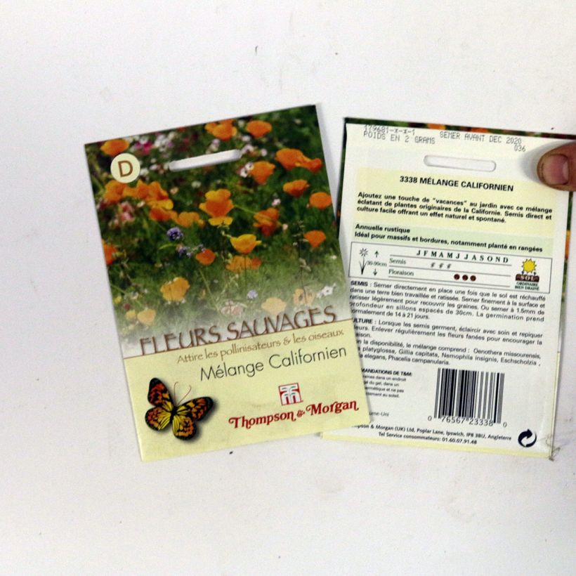 Esimerkki toimitetusta Graines de Fleurs sauvages - Mélange Californien 2 gramman siemenpussi-taimesta