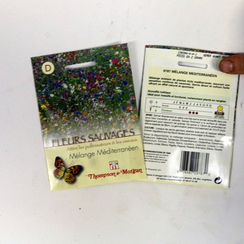Esimerkki toimitetusta Graines de Fleurs sauvages - Mélange Méditerranéen 2 gramman siemenpussi-taimesta