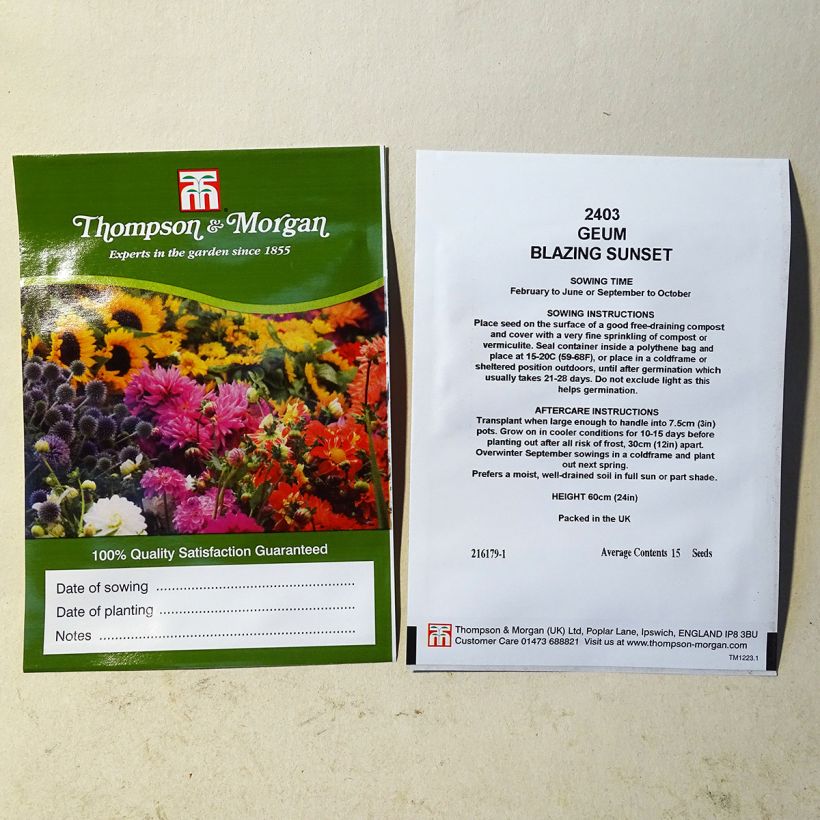 Esimerkki toimitetusta Tulikellukka Flore Pleno Blazing Sunset (siemenet) per pack of 15 seeds-taimesta
