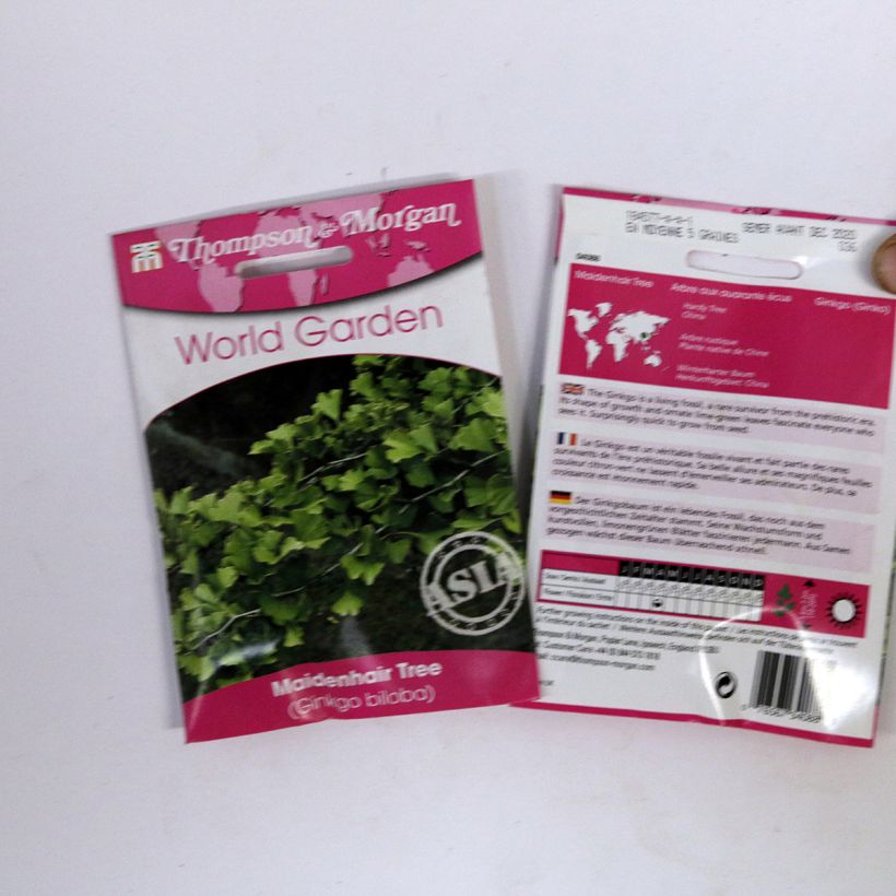 Esimerkki toimitetusta Neidonhiuspuu (siemenet) - Ginkgo biloba per pack of 5 seeds (6g)-taimesta