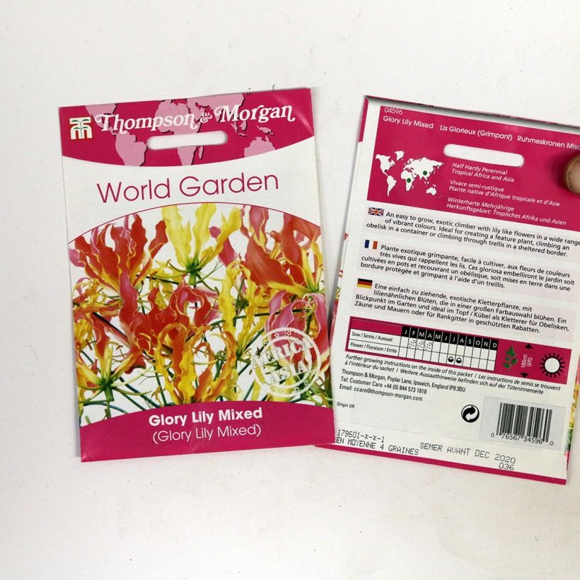 Esimerkki toimitetusta Keijunlilja (siemenet) - Gloriosa superba per pack of 6 seeds-taimesta