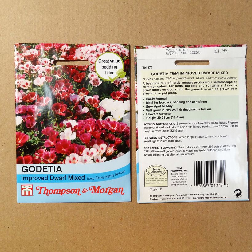 Esimerkki toimitetusta Isosilkkikukka Improved Dwarf mix (siemenet) per pack of 1700 seeds (1g)-taimesta