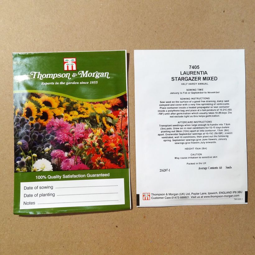Esimerkki toimitetusta Laurentia Stargazer Mixed (siemenet) per pack of 60 seeds-taimesta