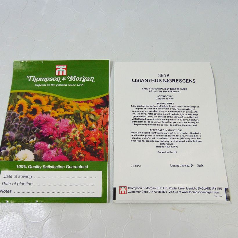 Esimerkki toimitetusta Lisianthus nigrescens (siemenet) per pack of 20 seeds-taimesta