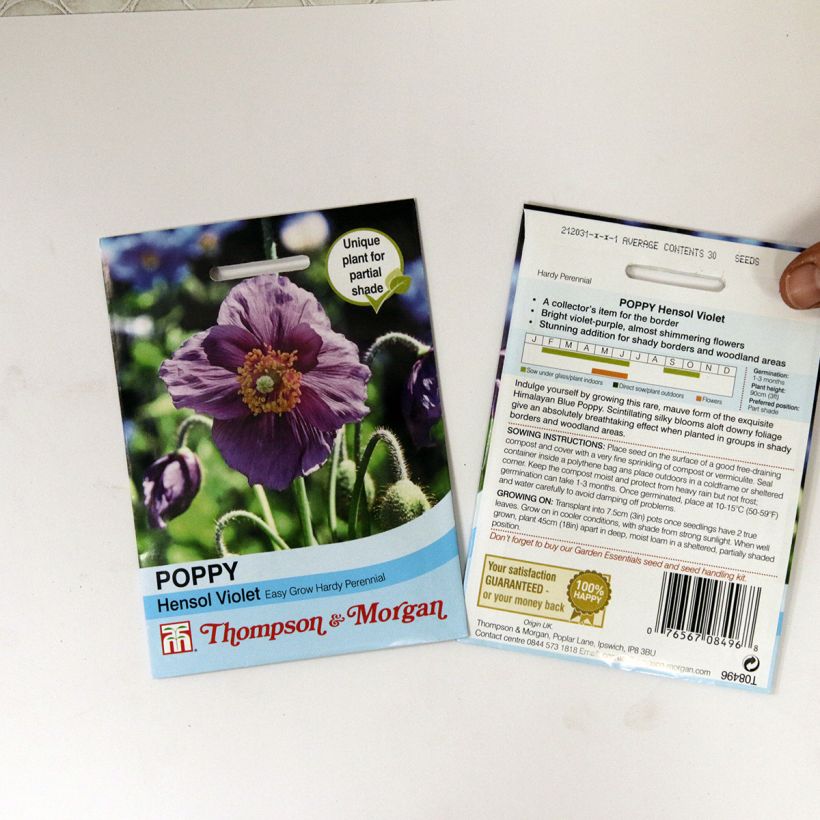 Esimerkki toimitetusta Sinivaleunikko Hensol Violet (siemenet) per pack of 40 seeds-taimesta