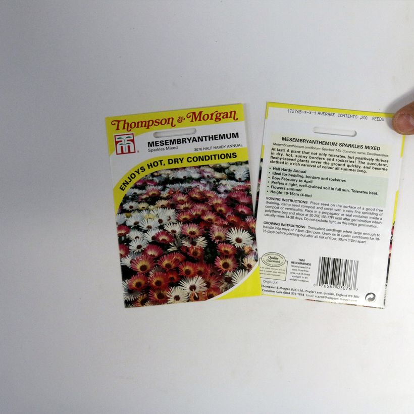 Example of Jääpäivikki Sparkles Mixed (siemenet) per pack of 200 seeds as you get