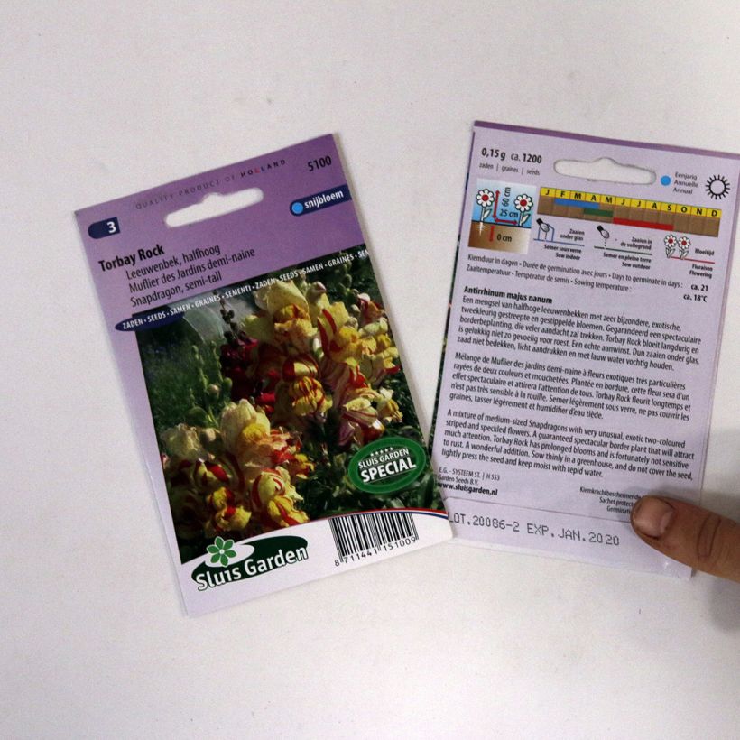 Esimerkki toimitetusta Leijonankita Torbay Rock (siemenet) per pack of 950 seeds (0,15g)-taimesta