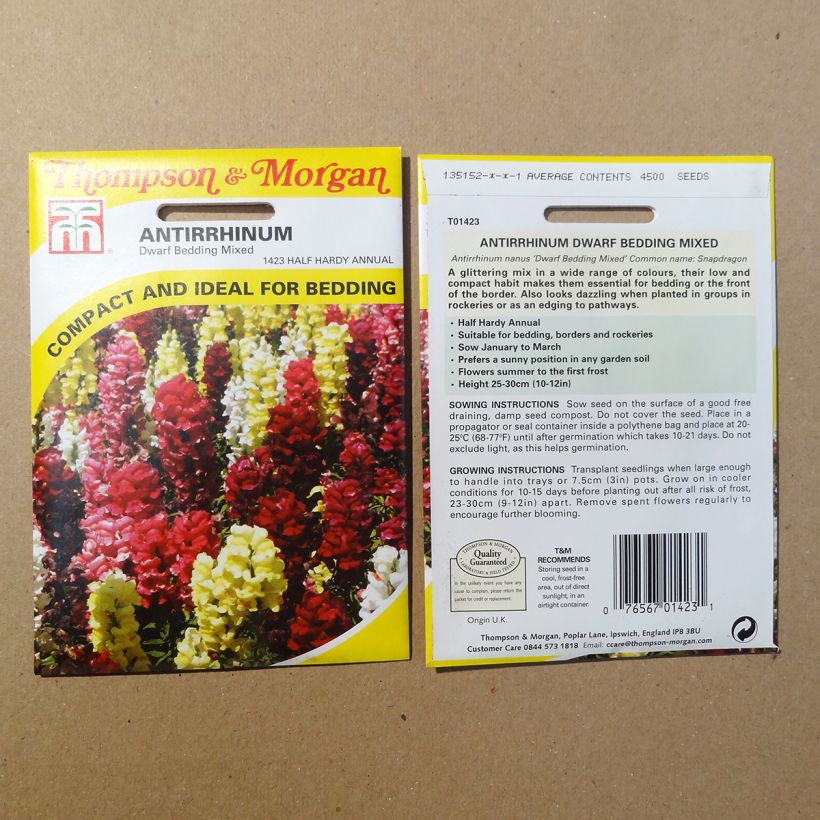 Esimerkki toimitetusta Leijonankita Nanum Dwarf Bedding Mixed (siemenet) per pack of 4500 seeds-taimesta