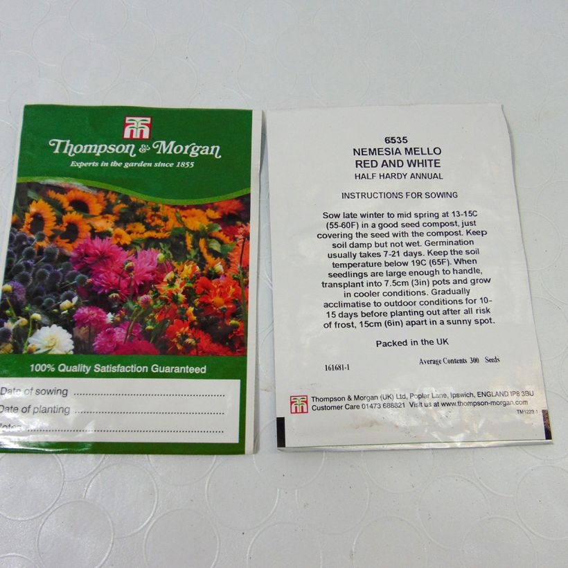 Esimerkki toimitetusta Kohtalonkukka Mello Red & White (siemenet) per pack of 850 seeds (0,2g)-taimesta