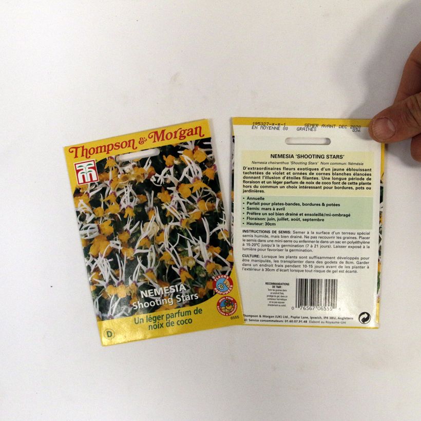 Esimerkki toimitetusta Nemesia cheiranthus Shooting Stars (siemenet) per 0.012 g seed pack-taimesta