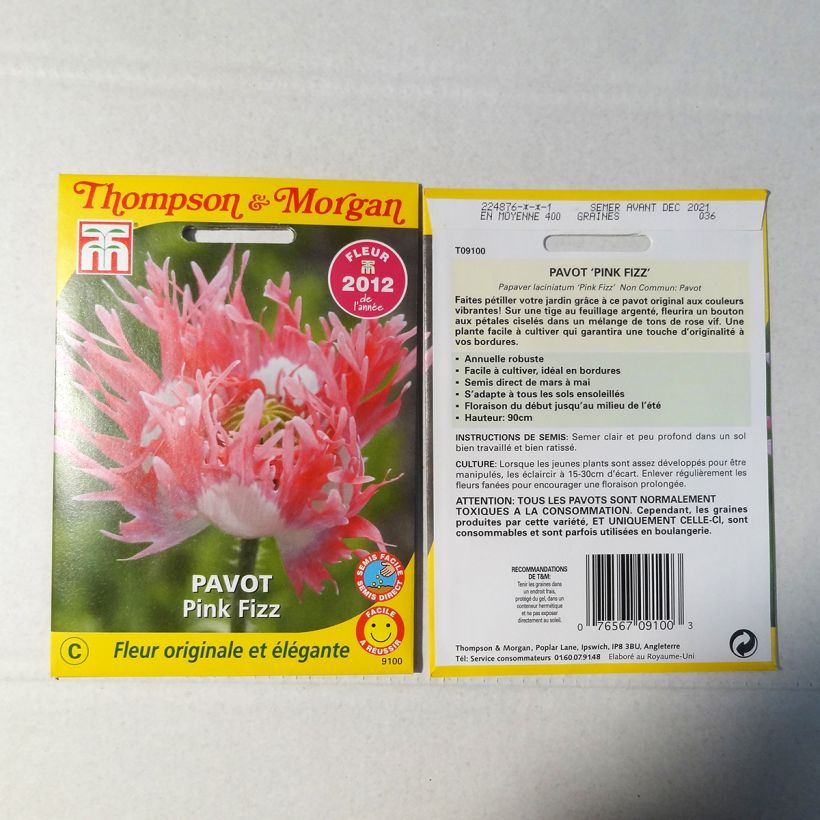 Esimerkki toimitetusta Oopiumiunikko Pink Fizz 500 siemenen pussi-taimesta