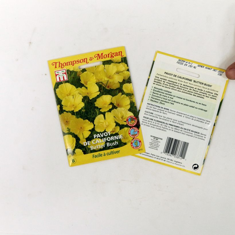 Esimerkki toimitetusta Kaliforniantuliunikko Butter Bush (siemenet) per pack of 350 seeds (0,6g)-taimesta