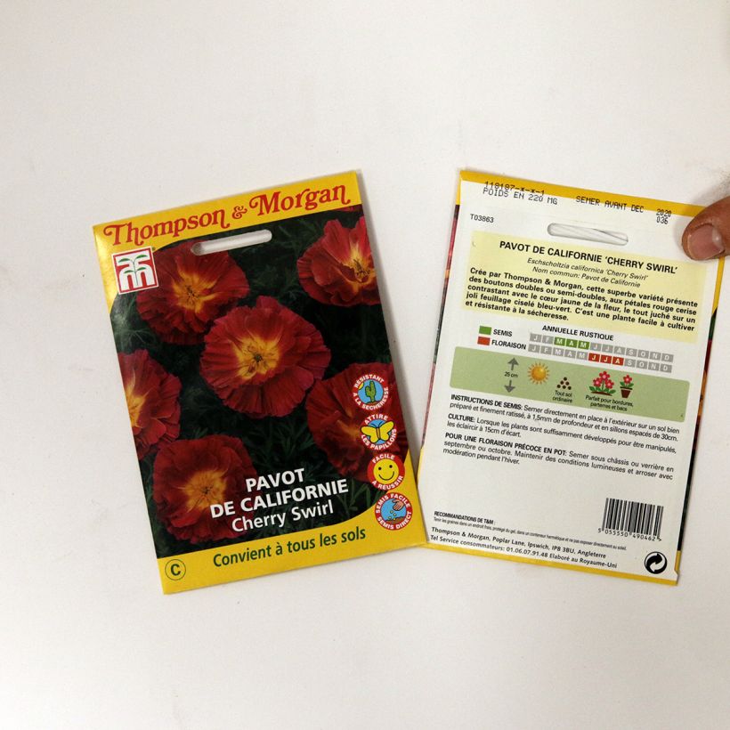 Esimerkki toimitetusta Kaliforniantuliunikko Cherry Swirl (siemenet) per pack of 250 seeds (0,3g)-taimesta
