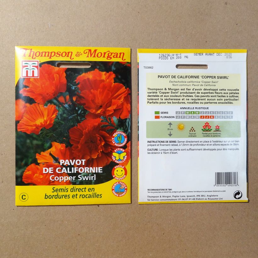 Esimerkki toimitetusta Kaliforniantuliunikko Copper Swirl (siemenet) per pack of 150 seeds (0.15g)-taimesta