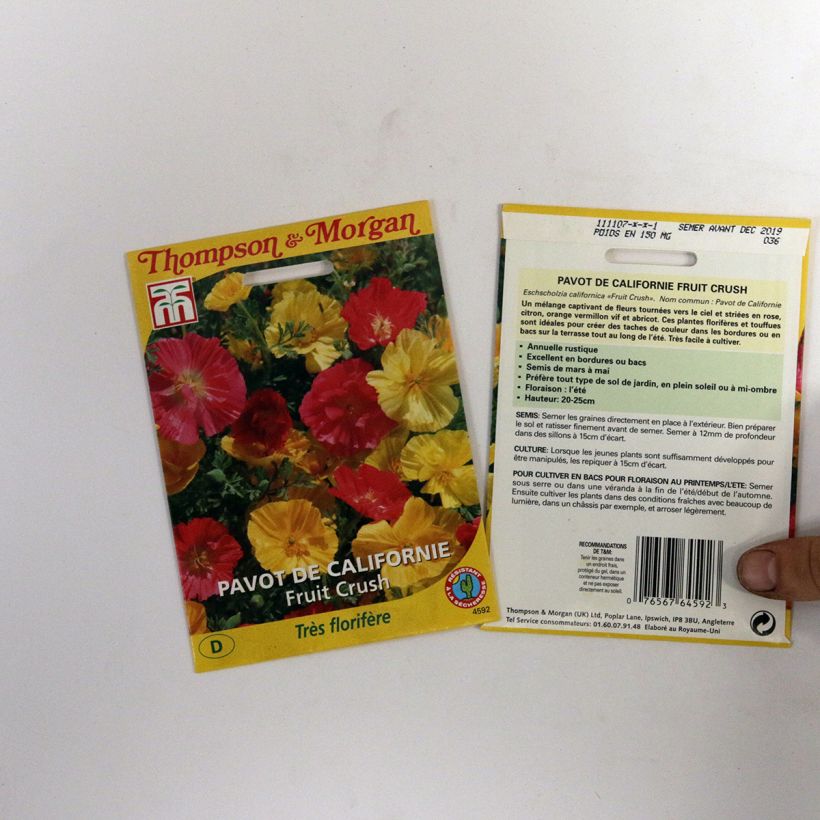 Esimerkki toimitetusta Kaliforniantuliunikko Fruit Crush (siemenet) per pack of 150 seeds-taimesta