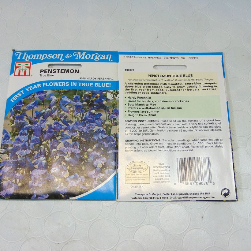 Esimerkki toimitetusta Rinnepipo True Blue (siemenet) per pack of 50 seeds-taimesta