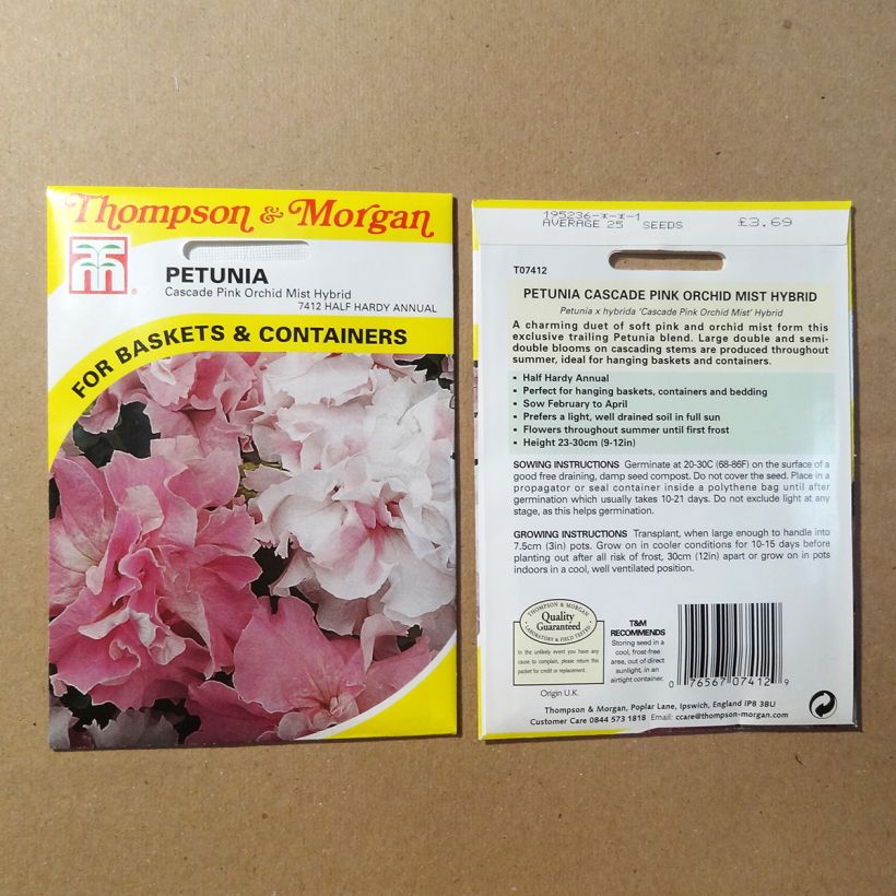 Esimerkki toimitetusta Riippapetunia Cascade Pink Orchid Mist (siemenet) per pack of 25 seeds-taimesta
