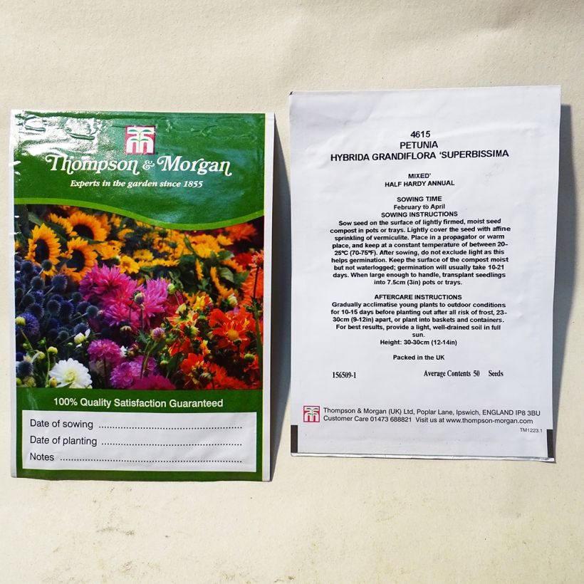 Esimerkki toimitetusta Riippapetunia Superbissima (siemenet) per pack of 50 seeds-taimesta