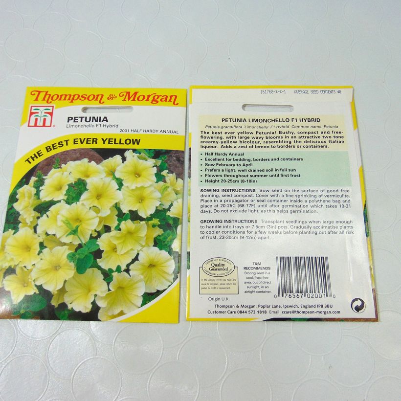 Esimerkki toimitetusta Riippapetunia Limoncello (siemenet) per pack of 40 seeds-taimesta