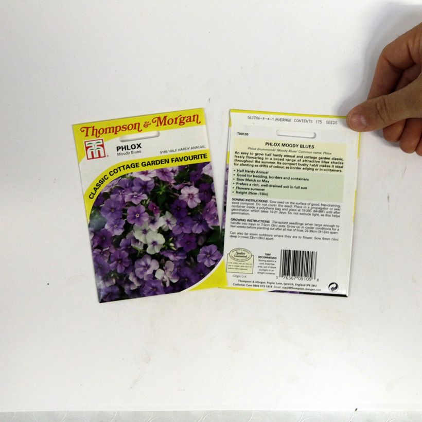 Esimerkki toimitetusta Kesäleimu Moody Blues (siemenet) per pack of 175 seeds-taimesta