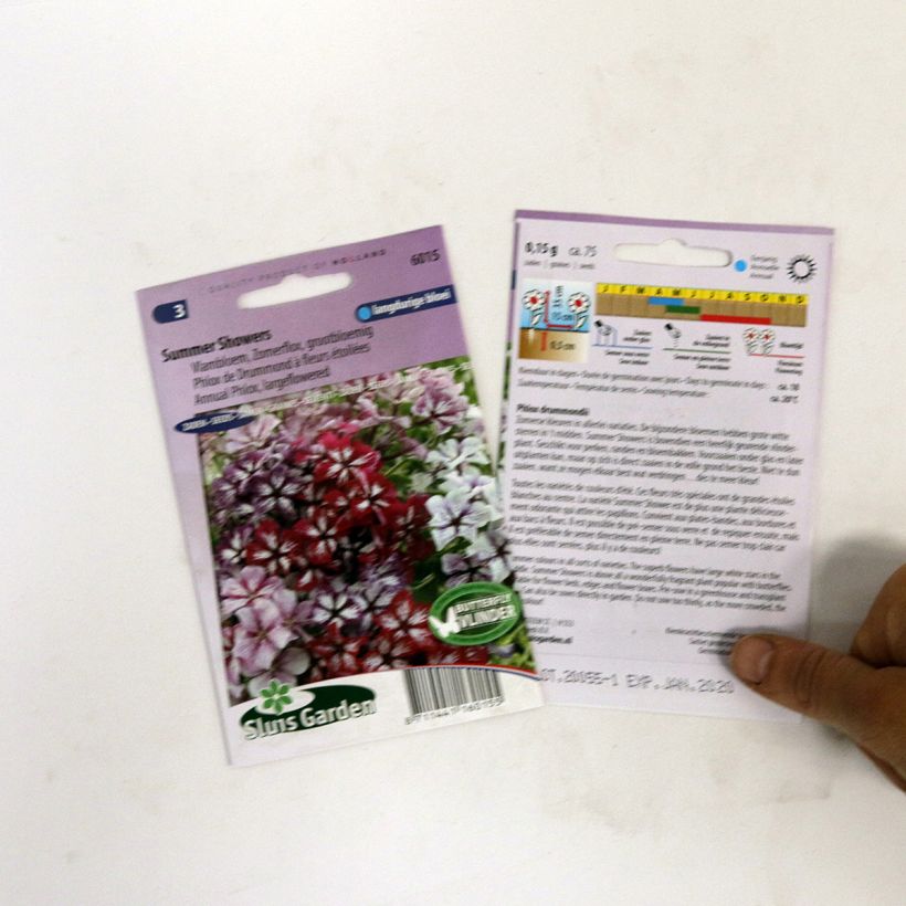 Esimerkki toimitetusta Kesäleimu Summer Showers Mix (siemenet) per pack of 75 seeds-taimesta