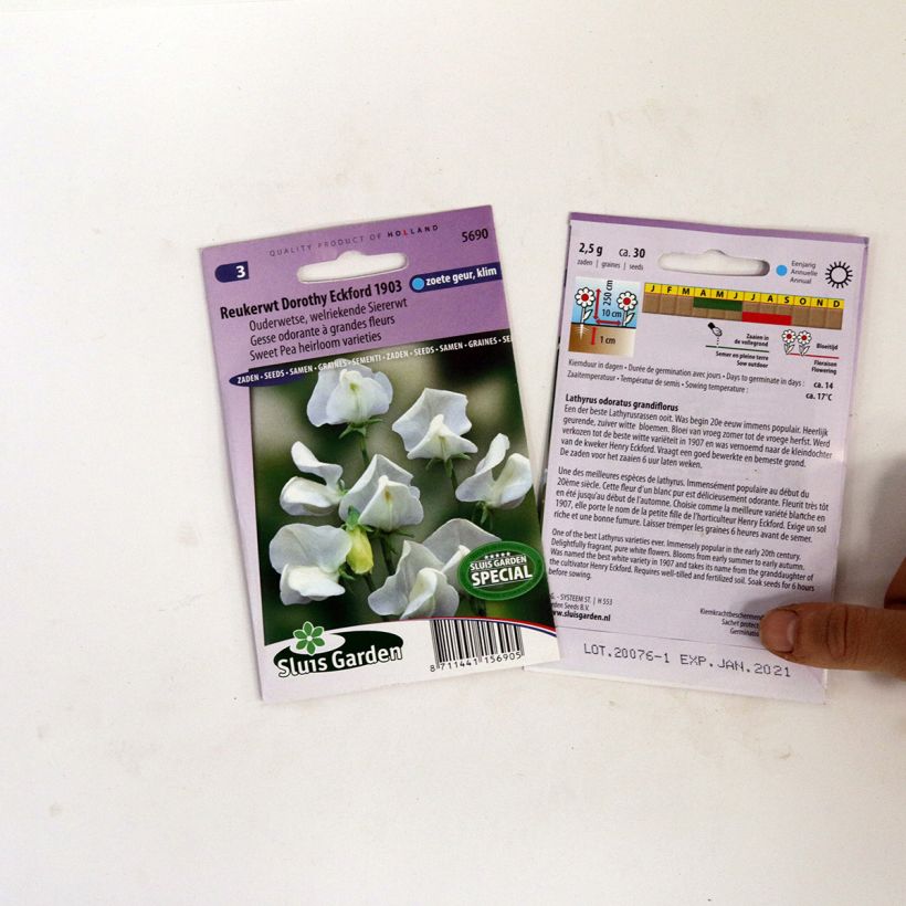 Esimerkki toimitetusta Tuoksuherne Dorothy Eckford (siemenet) per pack of 30 seeds-taimesta