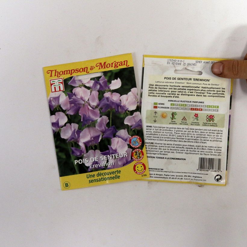 Esimerkki toimitetusta Tuoksunätkelmä Erewhon (siemenet) per pack of 25 seeds (2,5g)-taimesta