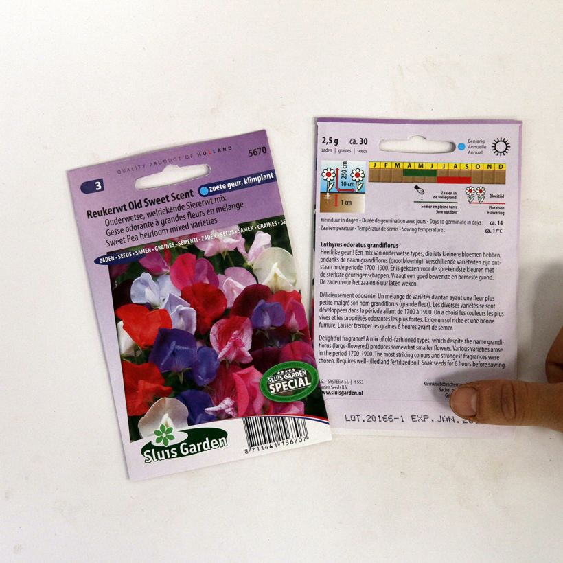 Esimerkki toimitetusta Tuoksuherne Old Sweet Scent (siemenet) per pack of 30 seeds-taimesta