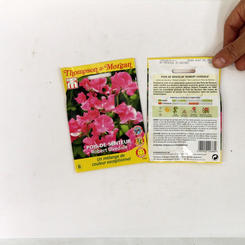Esimerkki toimitetusta Tuoksuherne Robert Uvedale (siemenet) per pack of 25 seeds-taimesta